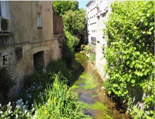Le Gite Entre Val Et Rose Provins Exterior foto